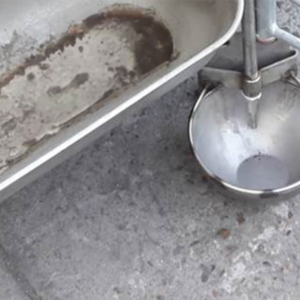 Bebedero madres lechones de acero inoxidable