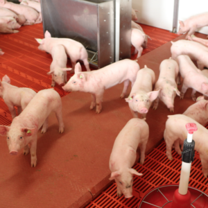 Placa calefacción electrica de hormigón polímero