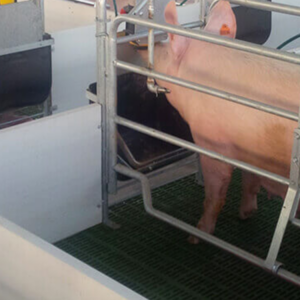 Comedero PVC para maternidad