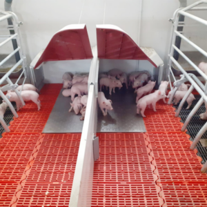 Placa calefacción eléctrica de acero inoxidable