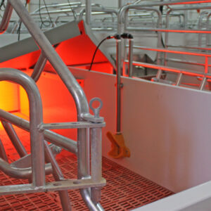 Bebedero primera edad de PVC